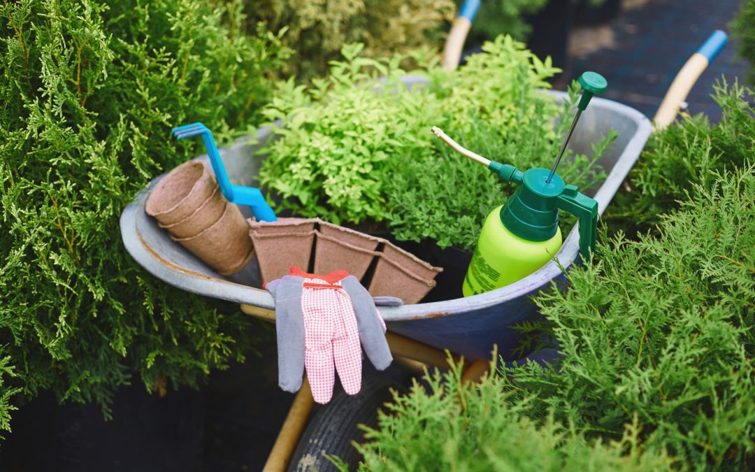 8 Garden Tools to Transform Your Yard