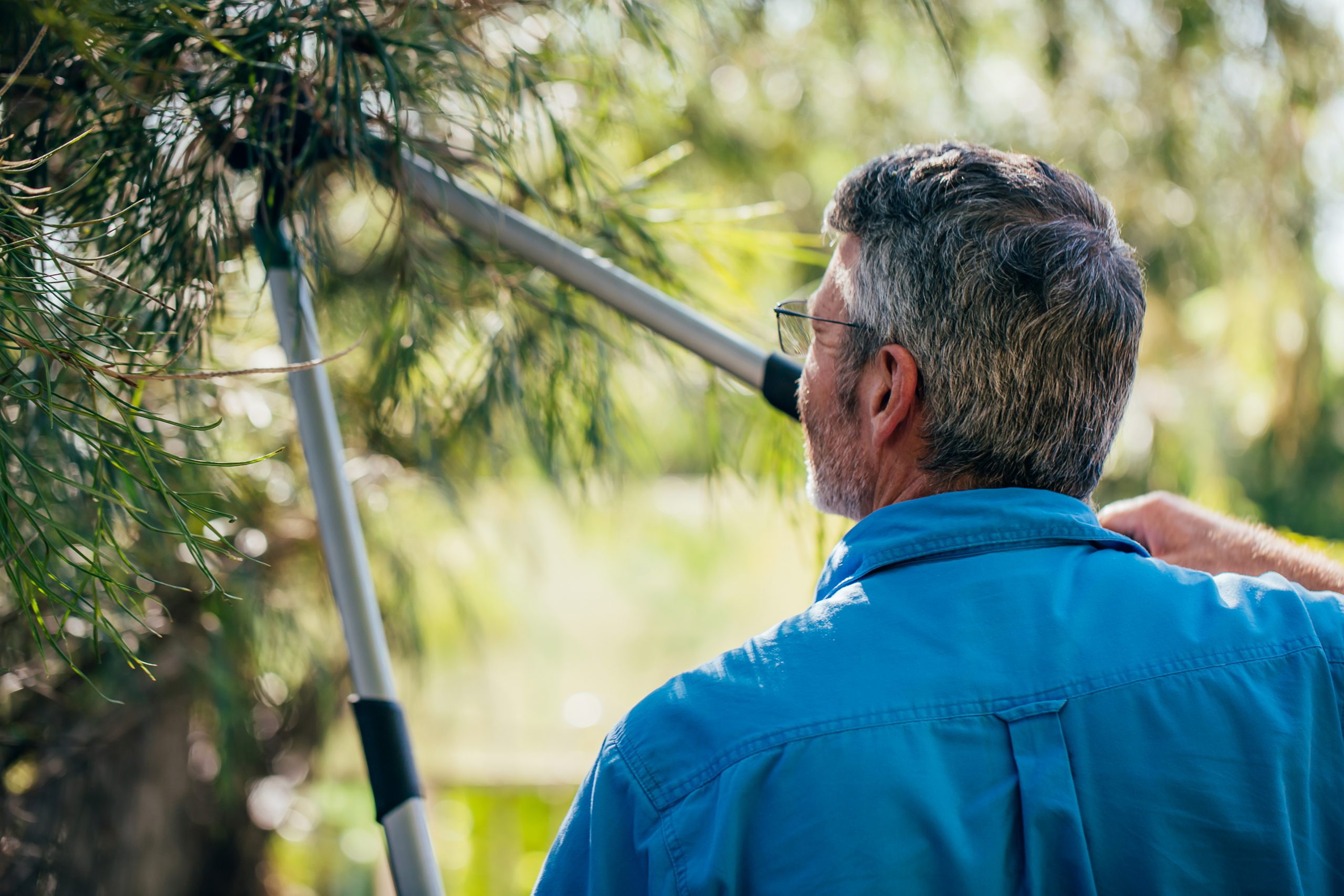 Loppers for deals cutting branches