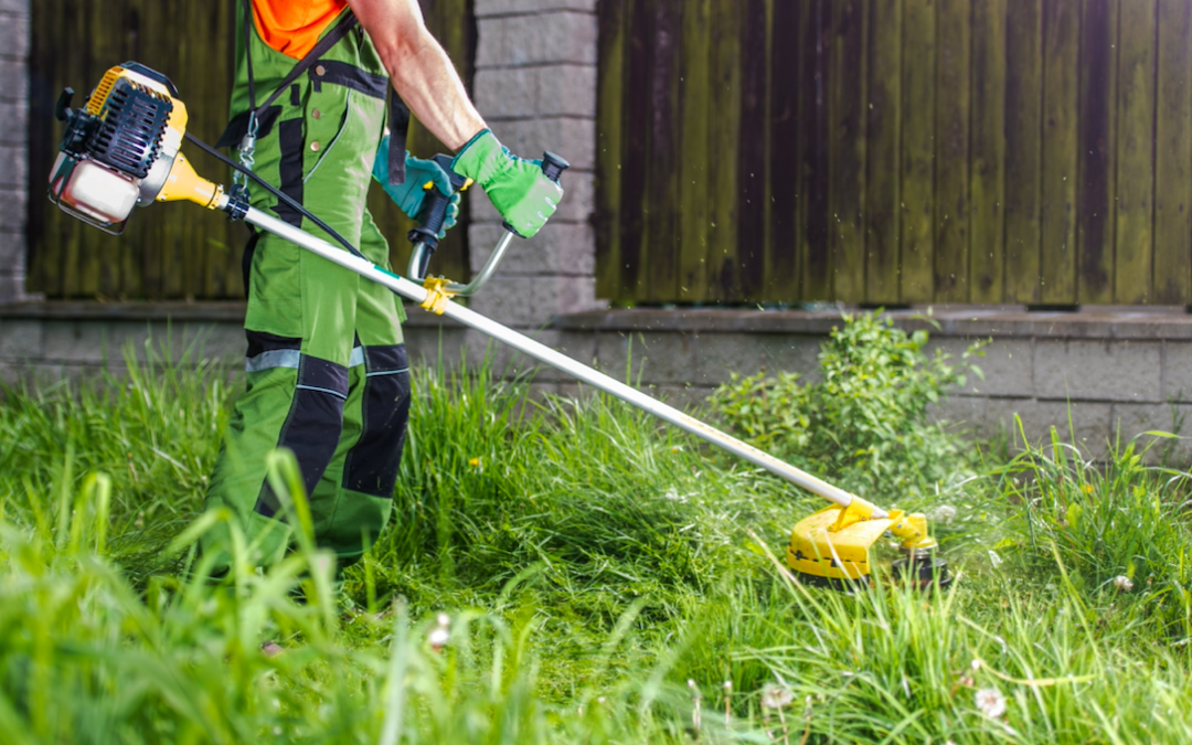 Top 5 Types of String Trimmer Lines You Must Know