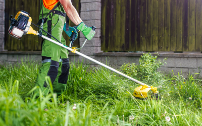 Are You Watering Your Lawn In The Best Way?