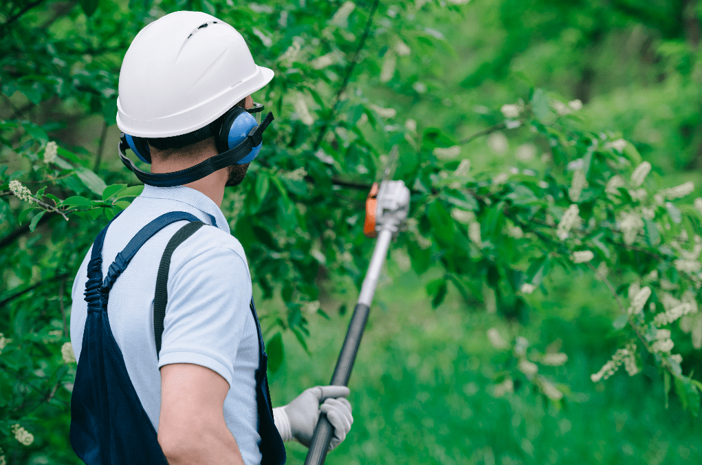 The Perfect Guide To Pick An Ideal Pole Saw