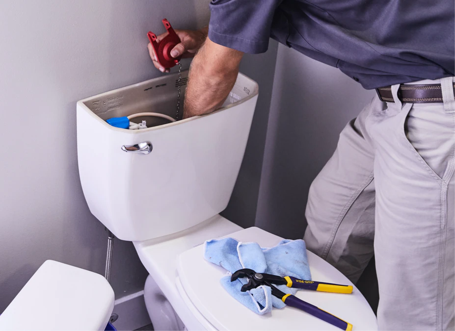 Toilet Anatomy 101: Your Toilet Parts and How They Work