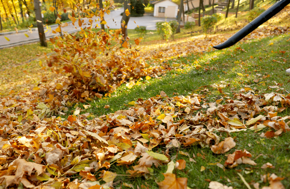 5 Tips To Properly Use Your Leaf Blower For Fall Cleanup