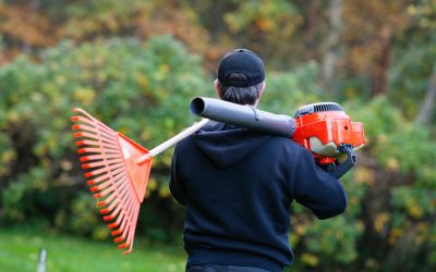 Get The Most Out Of Your Leaf Blower On Any Season